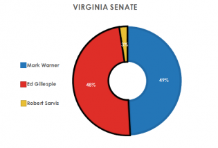 Virginia Senate Race