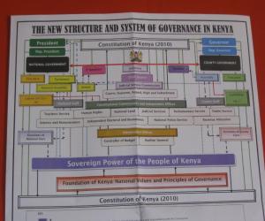 Chart depicting the government under the new consitution (Photo by Tyler Sadonis